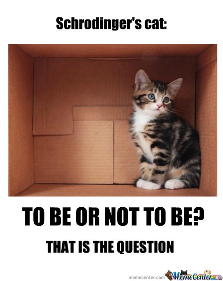 Schrodinger's cat: to be or not to be
